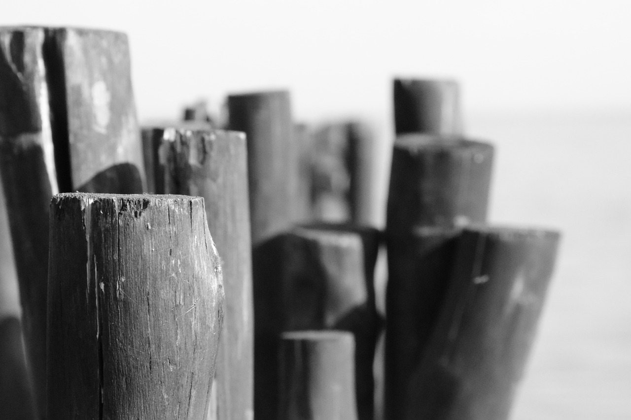 Future Regulatory Changes